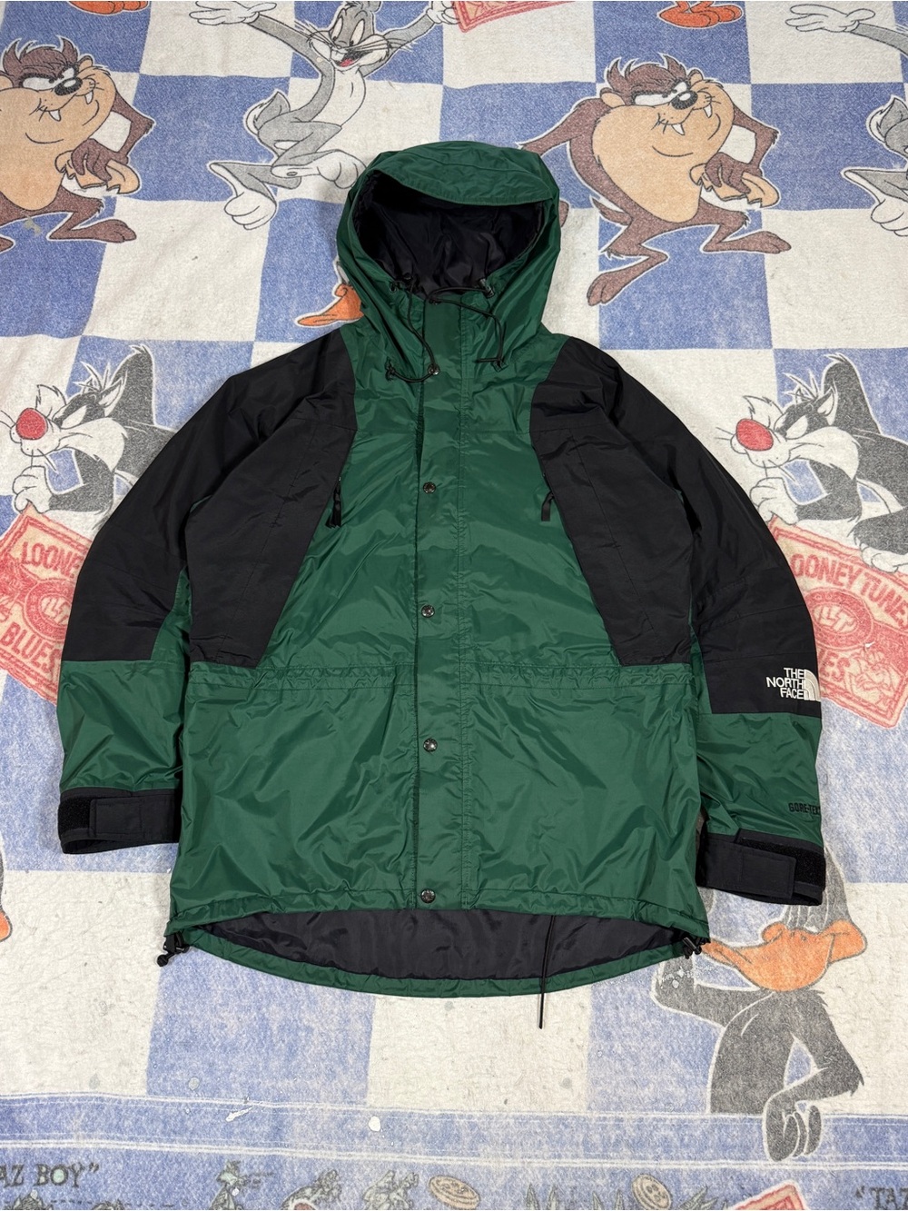 Vintage north face goretex mountain jacket